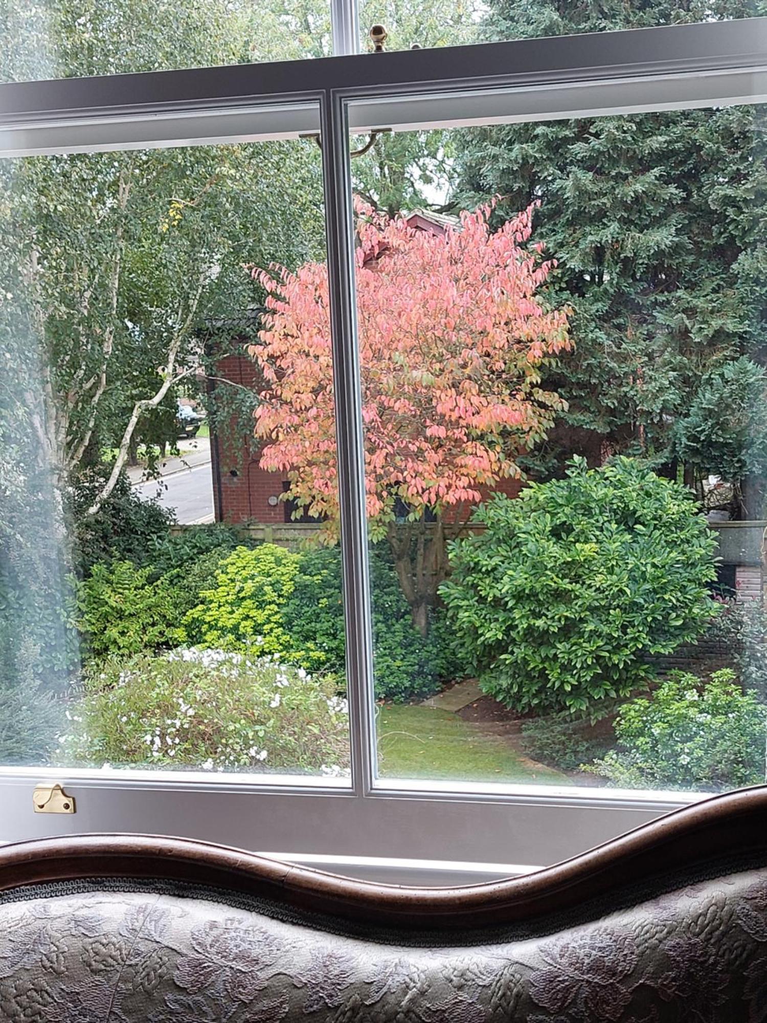 Banbury Cross B&B Екстериор снимка